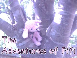 (A 'The Adventures of Fifi' title banner)